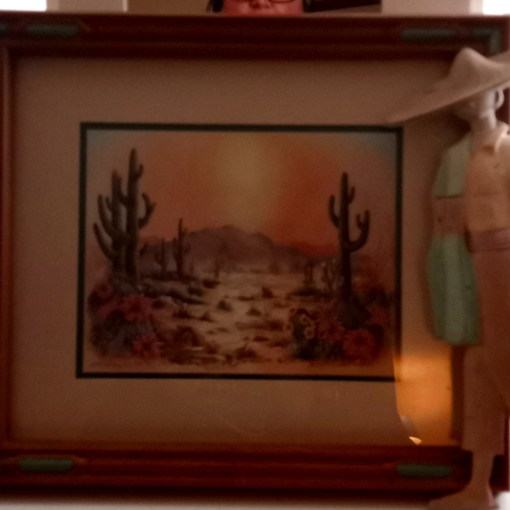Southwest themed wall hangings